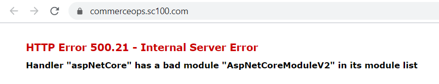 Handler aspNetCore error