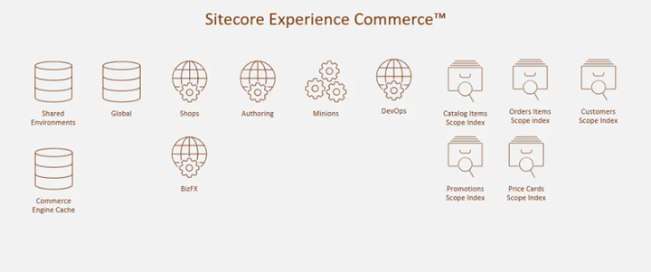 Sitecore Experience Commerce Roles