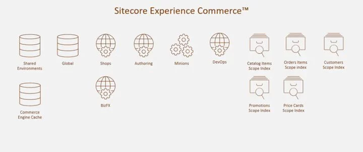 Sitecore Experience Commerce Roles - Sitecore Experience Commerce Roles