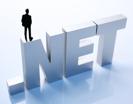 Dot Net Web Development