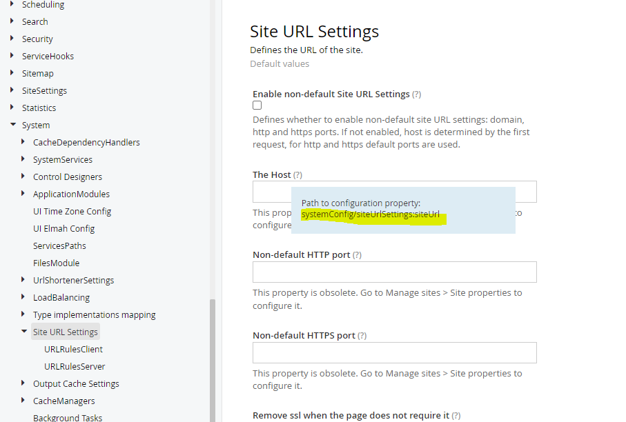 Edit site URL settings